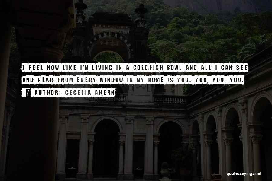 Cecelia Ahern Quotes: I Feel Now Like I'm Living In A Goldfish Bowl And All I Can See And Hear From Every Window