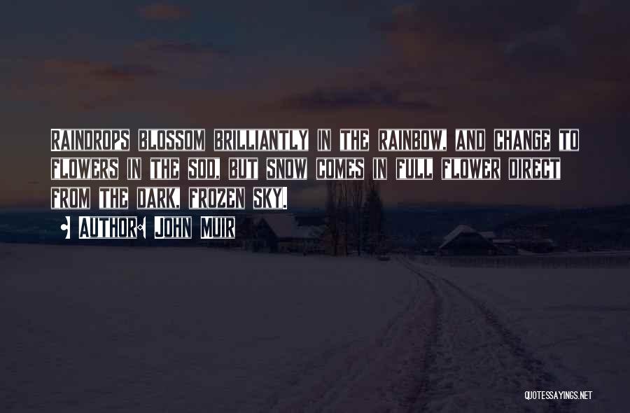 John Muir Quotes: Raindrops Blossom Brilliantly In The Rainbow, And Change To Flowers In The Sod, But Snow Comes In Full Flower Direct