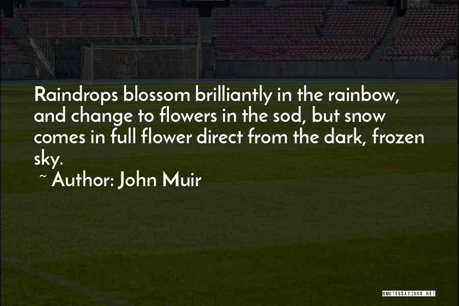 John Muir Quotes: Raindrops Blossom Brilliantly In The Rainbow, And Change To Flowers In The Sod, But Snow Comes In Full Flower Direct