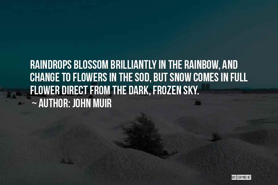 John Muir Quotes: Raindrops Blossom Brilliantly In The Rainbow, And Change To Flowers In The Sod, But Snow Comes In Full Flower Direct