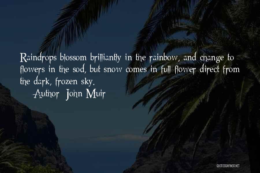 John Muir Quotes: Raindrops Blossom Brilliantly In The Rainbow, And Change To Flowers In The Sod, But Snow Comes In Full Flower Direct