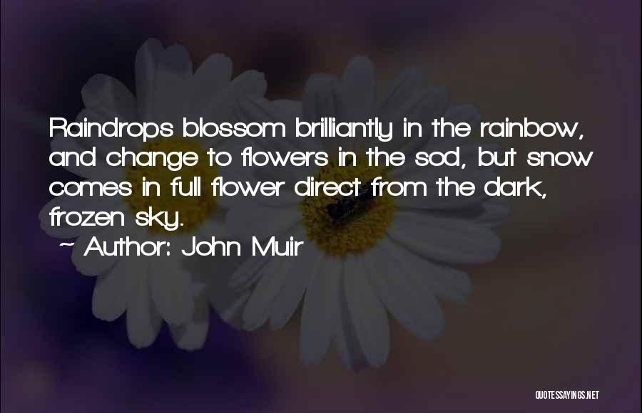 John Muir Quotes: Raindrops Blossom Brilliantly In The Rainbow, And Change To Flowers In The Sod, But Snow Comes In Full Flower Direct