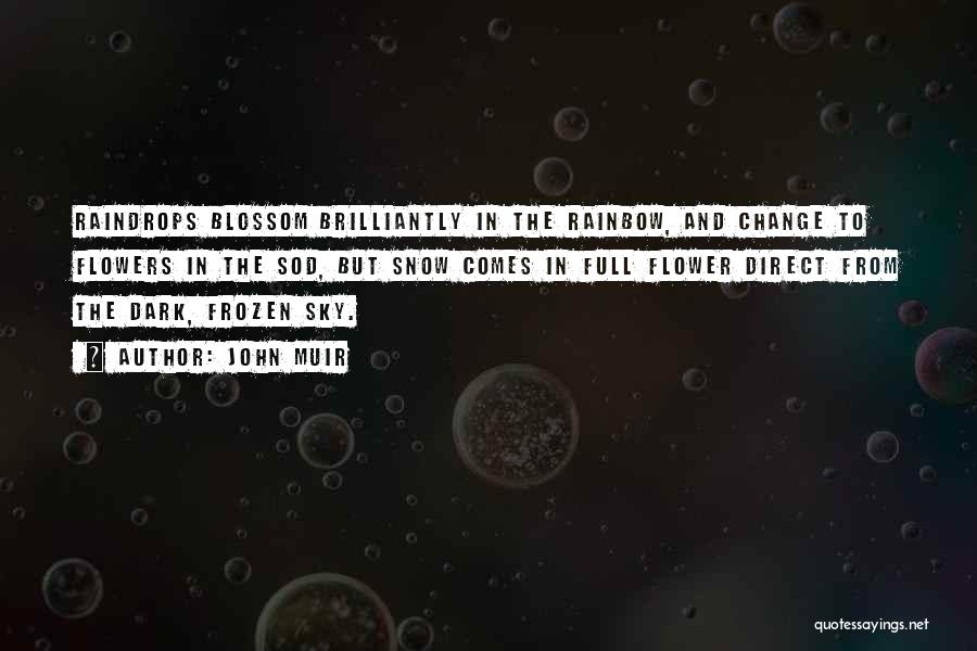 John Muir Quotes: Raindrops Blossom Brilliantly In The Rainbow, And Change To Flowers In The Sod, But Snow Comes In Full Flower Direct