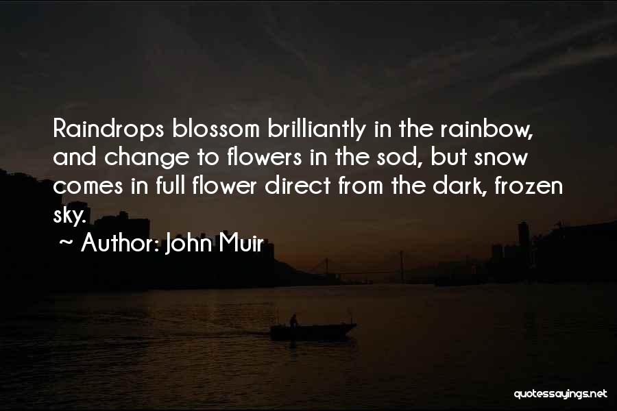 John Muir Quotes: Raindrops Blossom Brilliantly In The Rainbow, And Change To Flowers In The Sod, But Snow Comes In Full Flower Direct