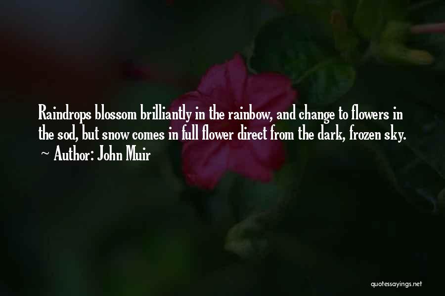 John Muir Quotes: Raindrops Blossom Brilliantly In The Rainbow, And Change To Flowers In The Sod, But Snow Comes In Full Flower Direct