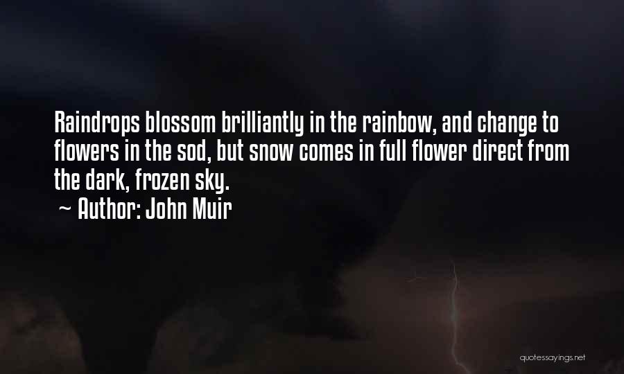 John Muir Quotes: Raindrops Blossom Brilliantly In The Rainbow, And Change To Flowers In The Sod, But Snow Comes In Full Flower Direct