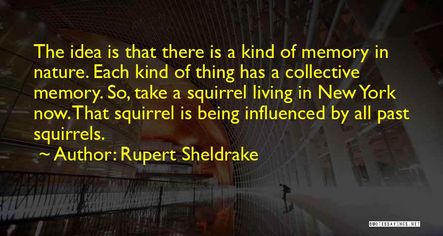 Rupert Sheldrake Quotes: The Idea Is That There Is A Kind Of Memory In Nature. Each Kind Of Thing Has A Collective Memory.