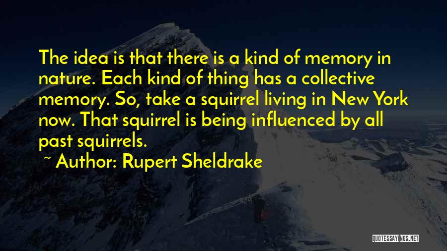 Rupert Sheldrake Quotes: The Idea Is That There Is A Kind Of Memory In Nature. Each Kind Of Thing Has A Collective Memory.