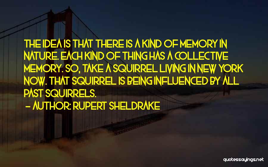 Rupert Sheldrake Quotes: The Idea Is That There Is A Kind Of Memory In Nature. Each Kind Of Thing Has A Collective Memory.