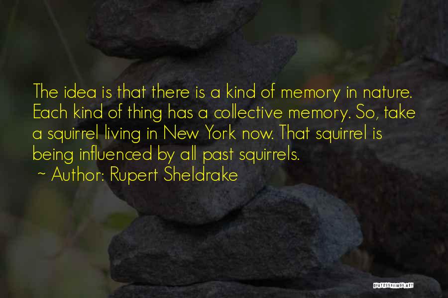 Rupert Sheldrake Quotes: The Idea Is That There Is A Kind Of Memory In Nature. Each Kind Of Thing Has A Collective Memory.