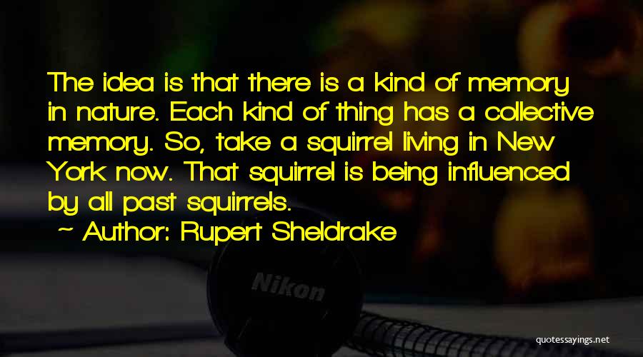 Rupert Sheldrake Quotes: The Idea Is That There Is A Kind Of Memory In Nature. Each Kind Of Thing Has A Collective Memory.