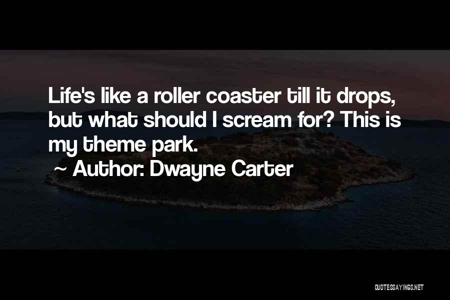 Dwayne Carter Quotes: Life's Like A Roller Coaster Till It Drops, But What Should I Scream For? This Is My Theme Park.