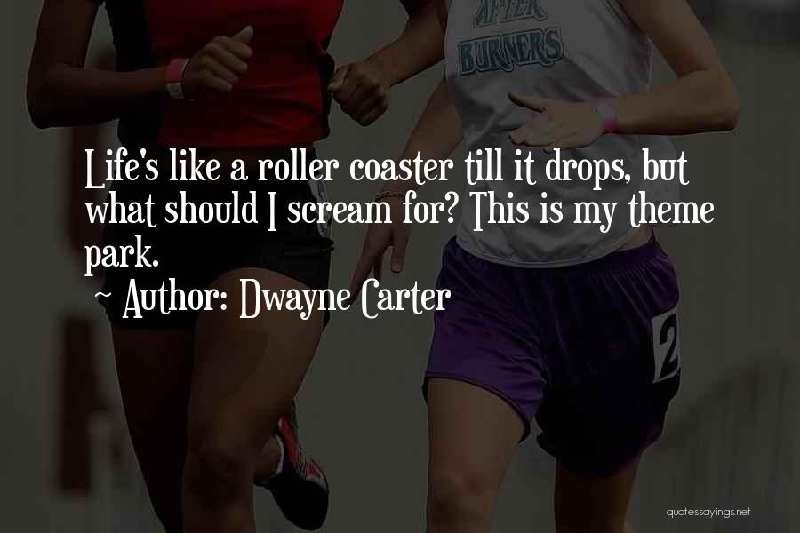 Dwayne Carter Quotes: Life's Like A Roller Coaster Till It Drops, But What Should I Scream For? This Is My Theme Park.