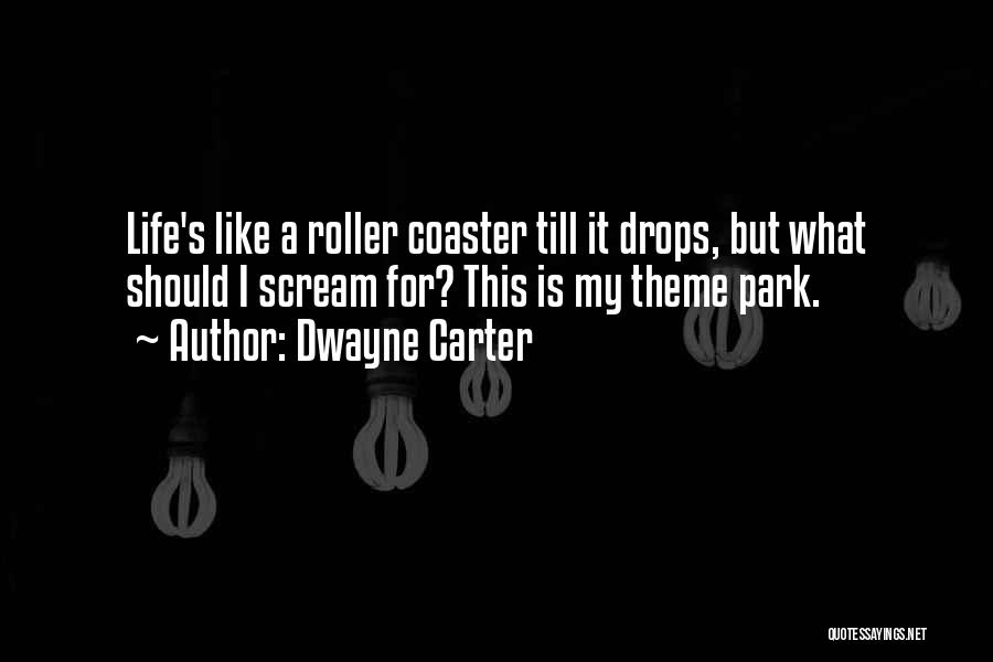 Dwayne Carter Quotes: Life's Like A Roller Coaster Till It Drops, But What Should I Scream For? This Is My Theme Park.