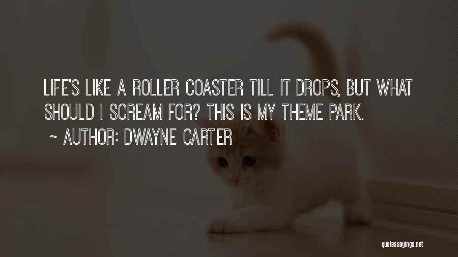 Dwayne Carter Quotes: Life's Like A Roller Coaster Till It Drops, But What Should I Scream For? This Is My Theme Park.