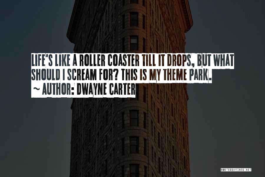 Dwayne Carter Quotes: Life's Like A Roller Coaster Till It Drops, But What Should I Scream For? This Is My Theme Park.