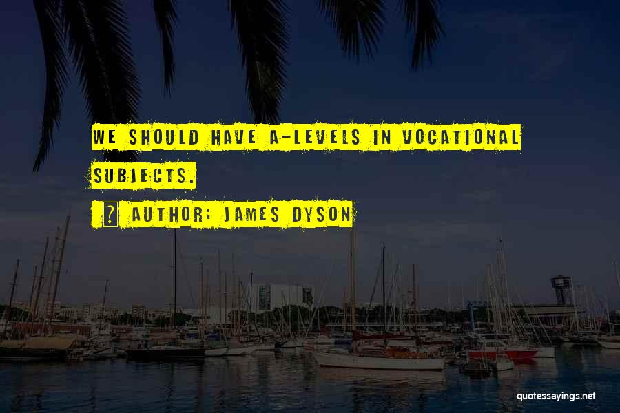 James Dyson Quotes: We Should Have A-levels In Vocational Subjects.