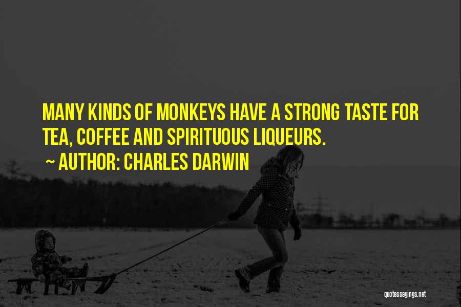 Charles Darwin Quotes: Many Kinds Of Monkeys Have A Strong Taste For Tea, Coffee And Spirituous Liqueurs.