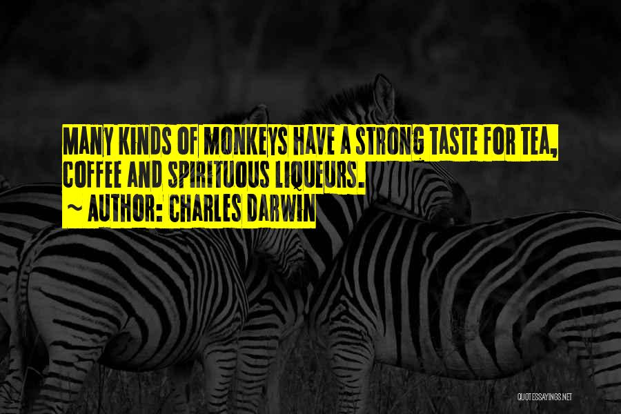 Charles Darwin Quotes: Many Kinds Of Monkeys Have A Strong Taste For Tea, Coffee And Spirituous Liqueurs.