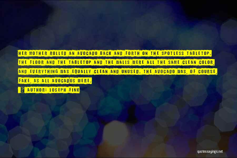 Joseph Fink Quotes: Her Mother Rolled An Avocado Back And Forth On The Spotless Tabletop. The Floor And The Tabletop And The Walls