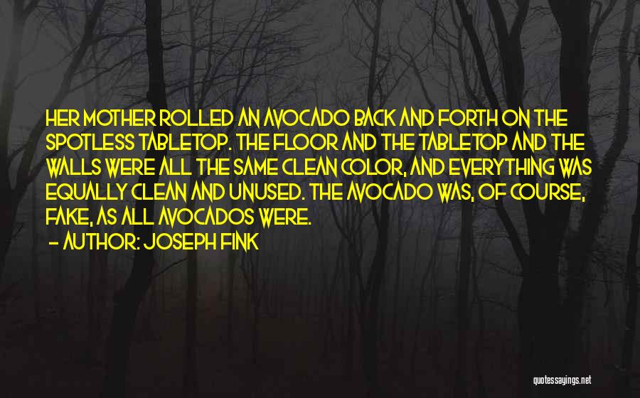 Joseph Fink Quotes: Her Mother Rolled An Avocado Back And Forth On The Spotless Tabletop. The Floor And The Tabletop And The Walls