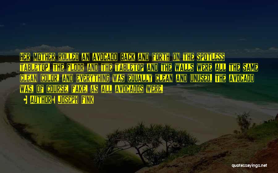 Joseph Fink Quotes: Her Mother Rolled An Avocado Back And Forth On The Spotless Tabletop. The Floor And The Tabletop And The Walls