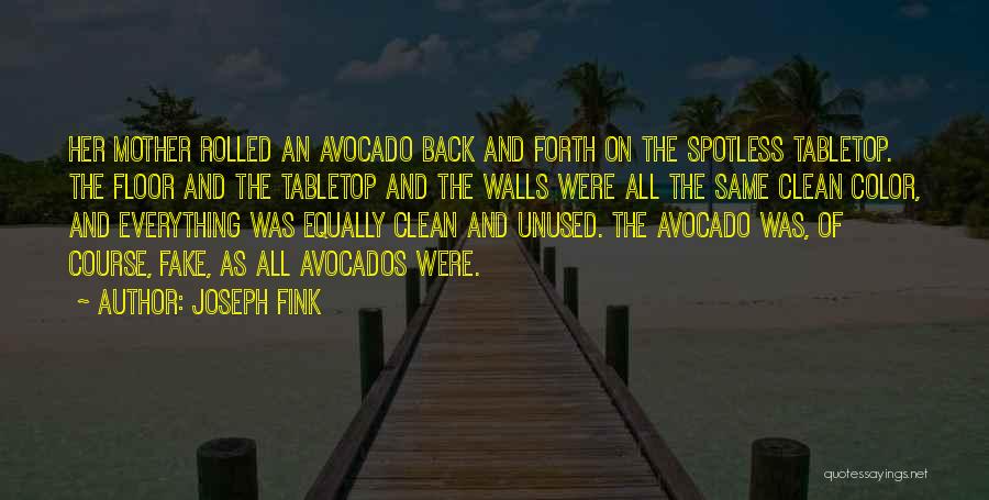 Joseph Fink Quotes: Her Mother Rolled An Avocado Back And Forth On The Spotless Tabletop. The Floor And The Tabletop And The Walls