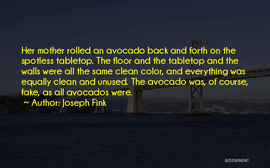 Joseph Fink Quotes: Her Mother Rolled An Avocado Back And Forth On The Spotless Tabletop. The Floor And The Tabletop And The Walls