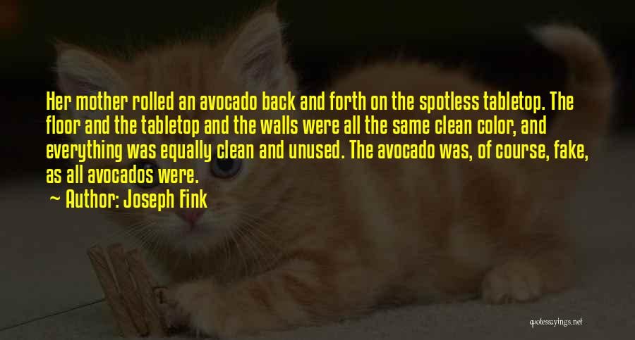 Joseph Fink Quotes: Her Mother Rolled An Avocado Back And Forth On The Spotless Tabletop. The Floor And The Tabletop And The Walls