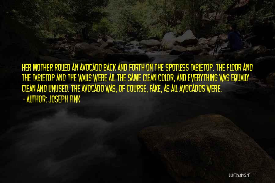 Joseph Fink Quotes: Her Mother Rolled An Avocado Back And Forth On The Spotless Tabletop. The Floor And The Tabletop And The Walls