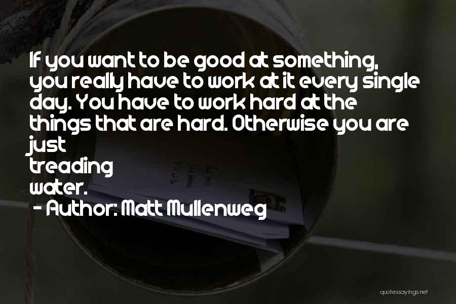 Matt Mullenweg Quotes: If You Want To Be Good At Something, You Really Have To Work At It Every Single Day. You Have