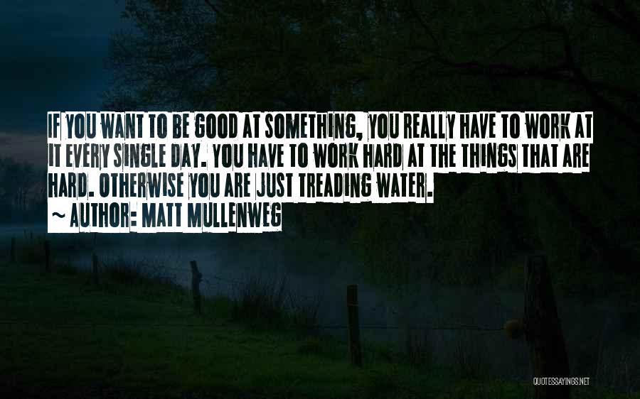 Matt Mullenweg Quotes: If You Want To Be Good At Something, You Really Have To Work At It Every Single Day. You Have