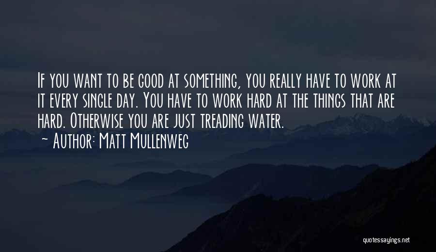 Matt Mullenweg Quotes: If You Want To Be Good At Something, You Really Have To Work At It Every Single Day. You Have