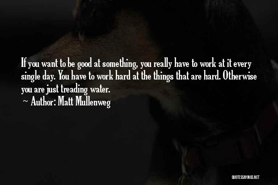 Matt Mullenweg Quotes: If You Want To Be Good At Something, You Really Have To Work At It Every Single Day. You Have