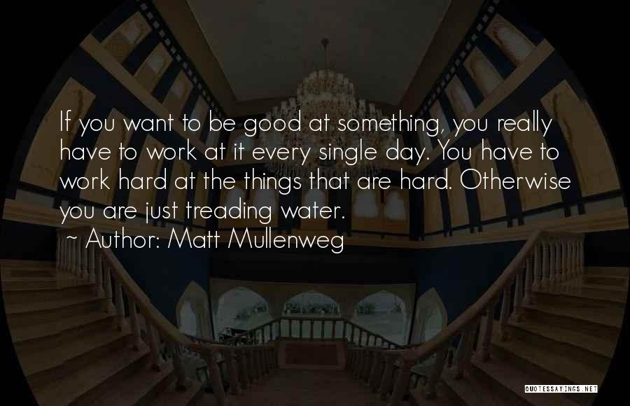 Matt Mullenweg Quotes: If You Want To Be Good At Something, You Really Have To Work At It Every Single Day. You Have