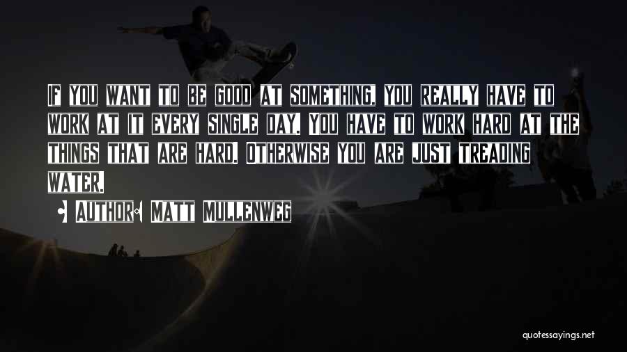 Matt Mullenweg Quotes: If You Want To Be Good At Something, You Really Have To Work At It Every Single Day. You Have
