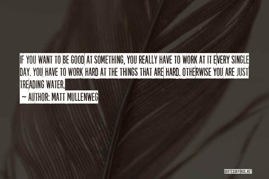 Matt Mullenweg Quotes: If You Want To Be Good At Something, You Really Have To Work At It Every Single Day. You Have