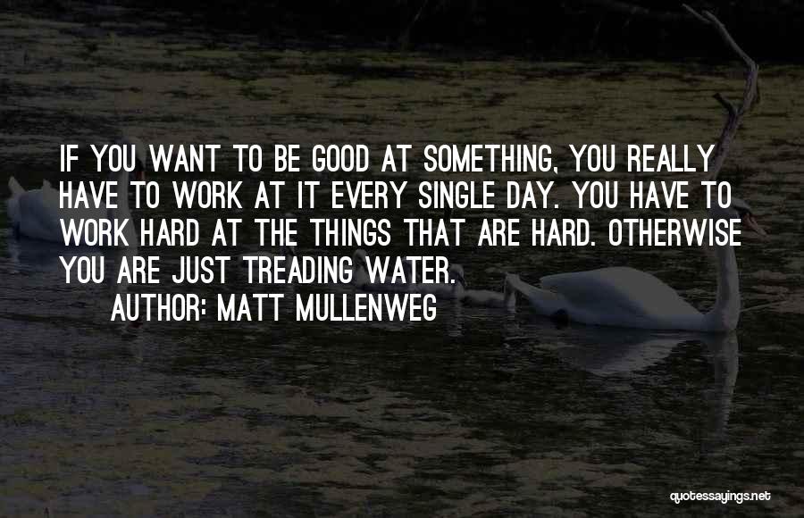 Matt Mullenweg Quotes: If You Want To Be Good At Something, You Really Have To Work At It Every Single Day. You Have