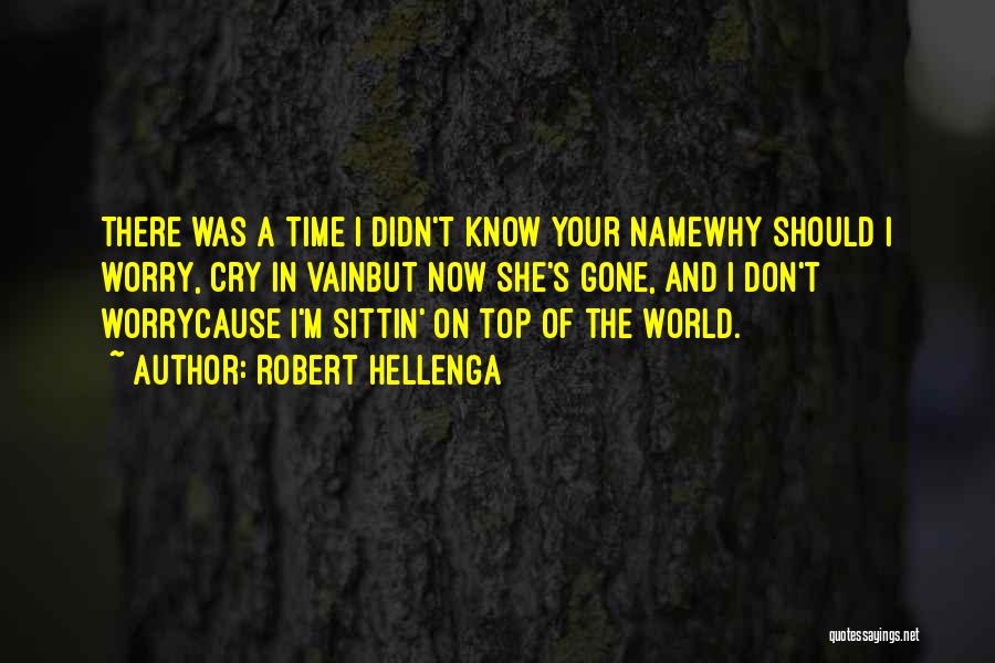 Robert Hellenga Quotes: There Was A Time I Didn't Know Your Namewhy Should I Worry, Cry In Vainbut Now She's Gone, And I