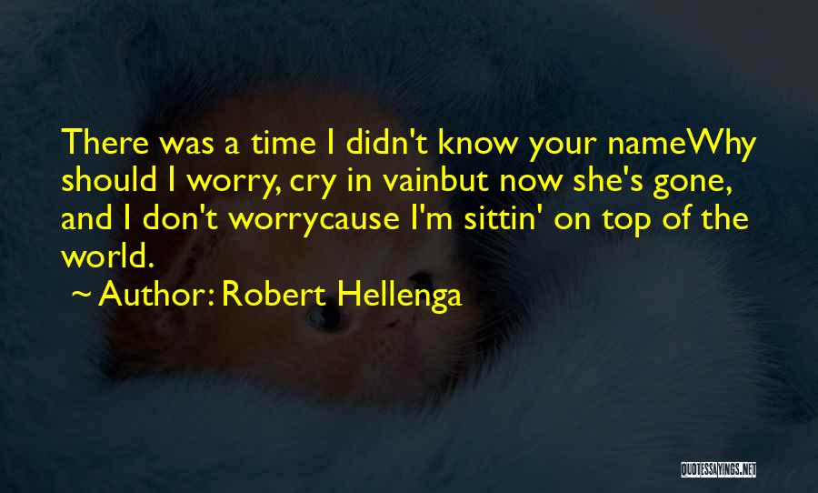 Robert Hellenga Quotes: There Was A Time I Didn't Know Your Namewhy Should I Worry, Cry In Vainbut Now She's Gone, And I
