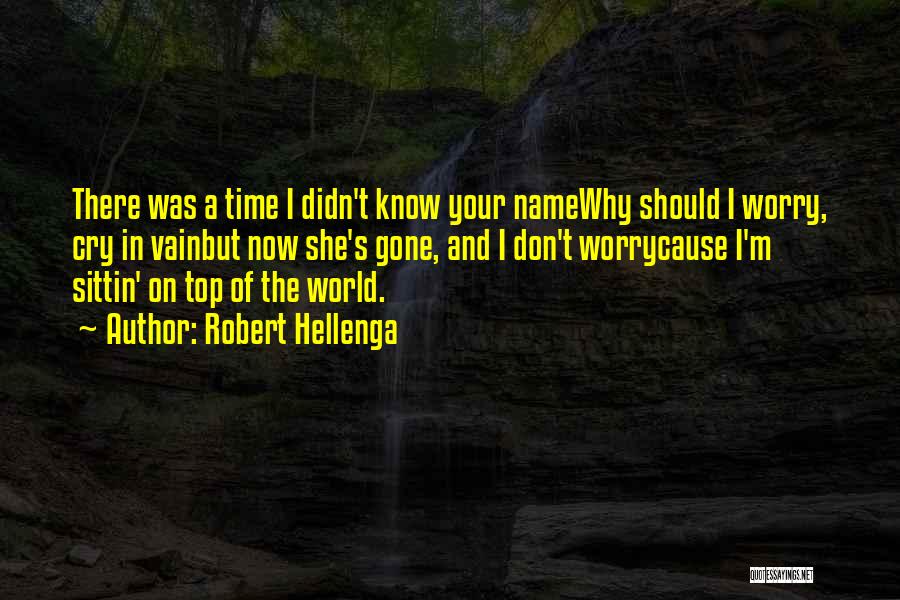 Robert Hellenga Quotes: There Was A Time I Didn't Know Your Namewhy Should I Worry, Cry In Vainbut Now She's Gone, And I