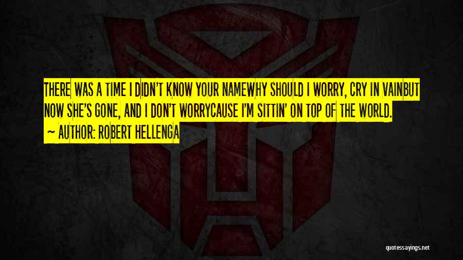 Robert Hellenga Quotes: There Was A Time I Didn't Know Your Namewhy Should I Worry, Cry In Vainbut Now She's Gone, And I