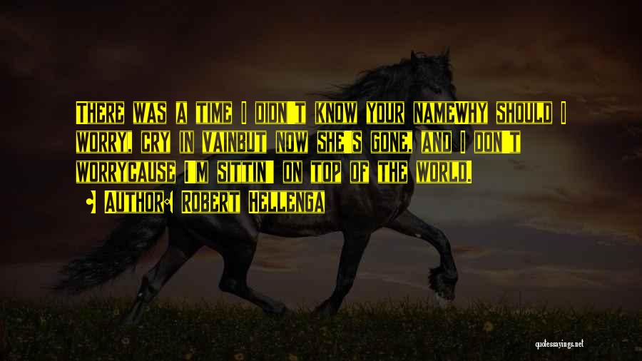 Robert Hellenga Quotes: There Was A Time I Didn't Know Your Namewhy Should I Worry, Cry In Vainbut Now She's Gone, And I