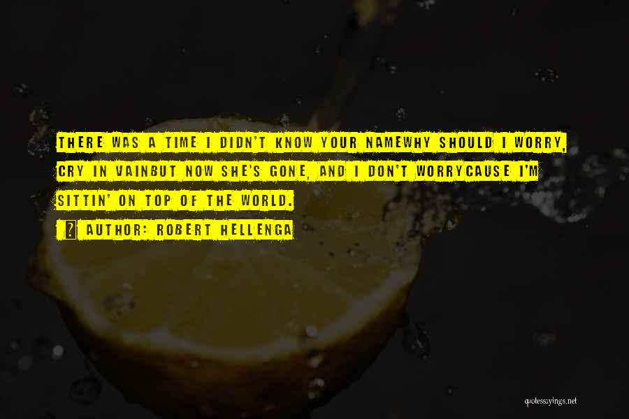 Robert Hellenga Quotes: There Was A Time I Didn't Know Your Namewhy Should I Worry, Cry In Vainbut Now She's Gone, And I