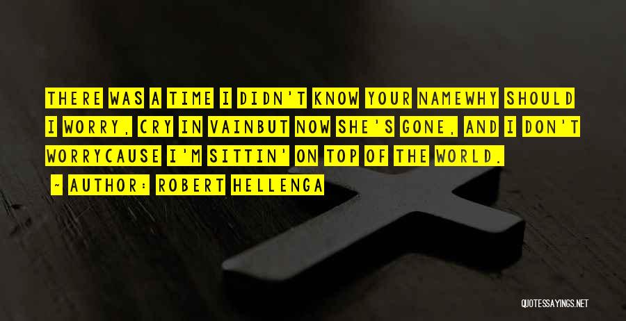 Robert Hellenga Quotes: There Was A Time I Didn't Know Your Namewhy Should I Worry, Cry In Vainbut Now She's Gone, And I