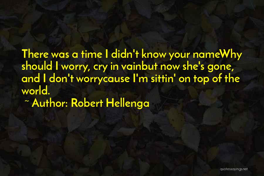 Robert Hellenga Quotes: There Was A Time I Didn't Know Your Namewhy Should I Worry, Cry In Vainbut Now She's Gone, And I