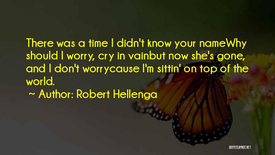 Robert Hellenga Quotes: There Was A Time I Didn't Know Your Namewhy Should I Worry, Cry In Vainbut Now She's Gone, And I