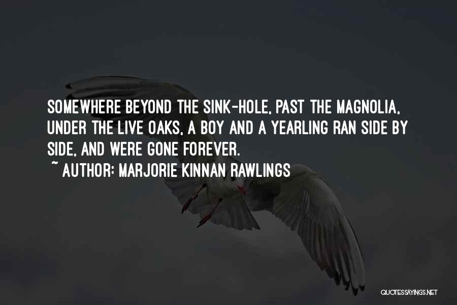 Marjorie Kinnan Rawlings Quotes: Somewhere Beyond The Sink-hole, Past The Magnolia, Under The Live Oaks, A Boy And A Yearling Ran Side By Side,