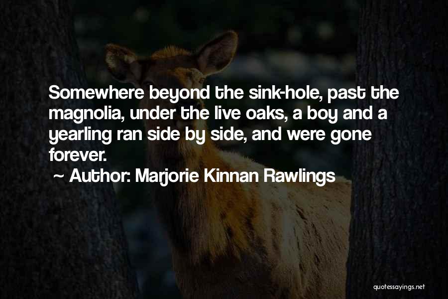 Marjorie Kinnan Rawlings Quotes: Somewhere Beyond The Sink-hole, Past The Magnolia, Under The Live Oaks, A Boy And A Yearling Ran Side By Side,