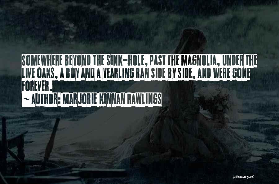 Marjorie Kinnan Rawlings Quotes: Somewhere Beyond The Sink-hole, Past The Magnolia, Under The Live Oaks, A Boy And A Yearling Ran Side By Side,